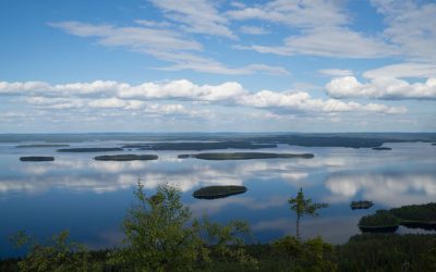 Hyvää 101 syntymäpäivää Suomi 🇫🇮 Muistathan Osta Työtä Suomeen -päivä 7.12.2018!