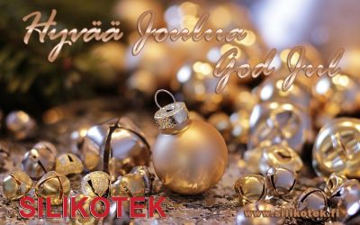 Oikein Hyvää ja Rauhallista Joulua!